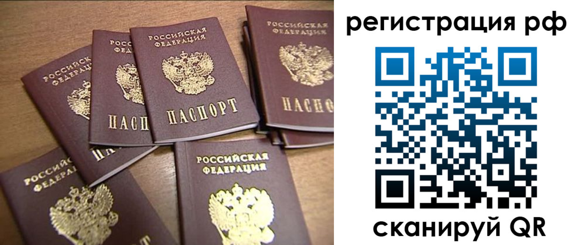 найти адрес прописки в Снежногорске